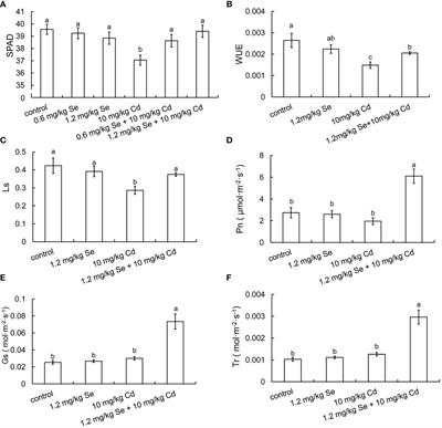 Comparative physiological and soil microbial community structural analysis revealed that selenium alleviates cadmium stress in Perilla frutescens